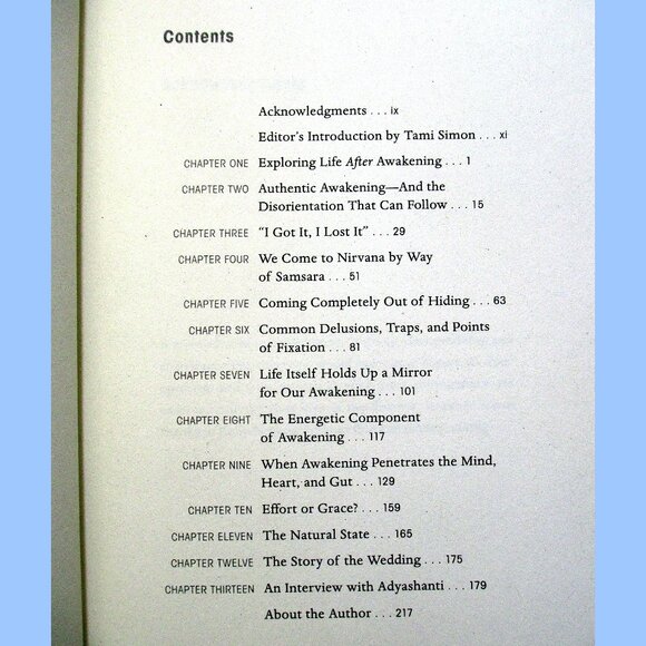 Book: The End of Your World by Adyashanti - Picture 2 of 12